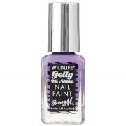 Barry M Cosmetics Wildlife Nail Paint 10ml (Various Shades) - Native P...