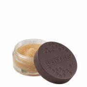 Burt's Bees 100% Natural Conditioning Lip Scrub with Exfoliating Honey...