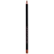 Anastasia Beverly Hills Lip Liner 1.49g (Various Colours) - Cranberry