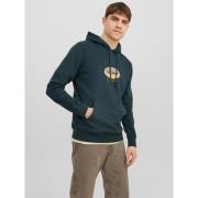 Sudadera con capucha Jordalston